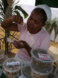 Dona Santa e suas ervas medicinais Amargosa - Bahia